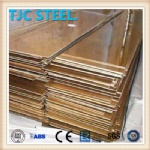 C51100 Bronze Plate/ Coil/ Strip