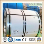 ASTM B265 Gr23 Titanium Plate/Sheet, Titanium Alloy Plate/Sheet