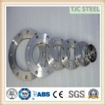 ASME B16.5 Gr1 Titanium Flange, Titanium Alloy Flange