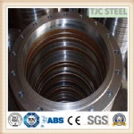 ASME B16.5 Gr2 Titanium Flange, Titanium Alloy Flange