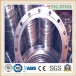 ASME B16.5 Gr3 Titanium Flange, Titanium Alloy Flange