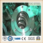 ASME B16.5 Gr5 Titanium Flange, Titanium Alloy Flange