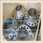 ASME SB381 F-23/Gr23 (Ti-6Al-4V Eli) Titanium Alloy Forged Flanges
