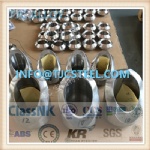 Titanium Alloy Forged Flanges: ASME SB381 Gr12/F-12