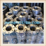 ASME SB381 Gr7/F-7 Titanium Alloy Forged Flanges