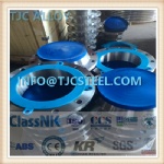 Titanium Alloy Forged Flanges: ASME SB381 F-5/Gr5 (Ti-6Al-4V)