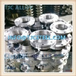 ASME SB381 Gr2/F-2 Titanium Alloy Forged Flanges