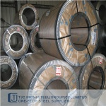 ASTM A240/ A240M 904L(UNS N08904) Pressure Vessel Stainless Steel Plate/ Coil/ Strip