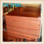 C10300 Pure Copper Plate/ Coil/ Strip