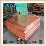 C11000 Pure Copper Plate/ Coil/ Strip