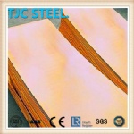 C24000 Brass Plate/ Coil/ Strip